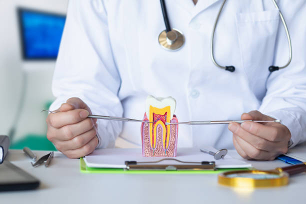 Best Urgent Care for Lost Fillings or Crowns in Arcola, TX